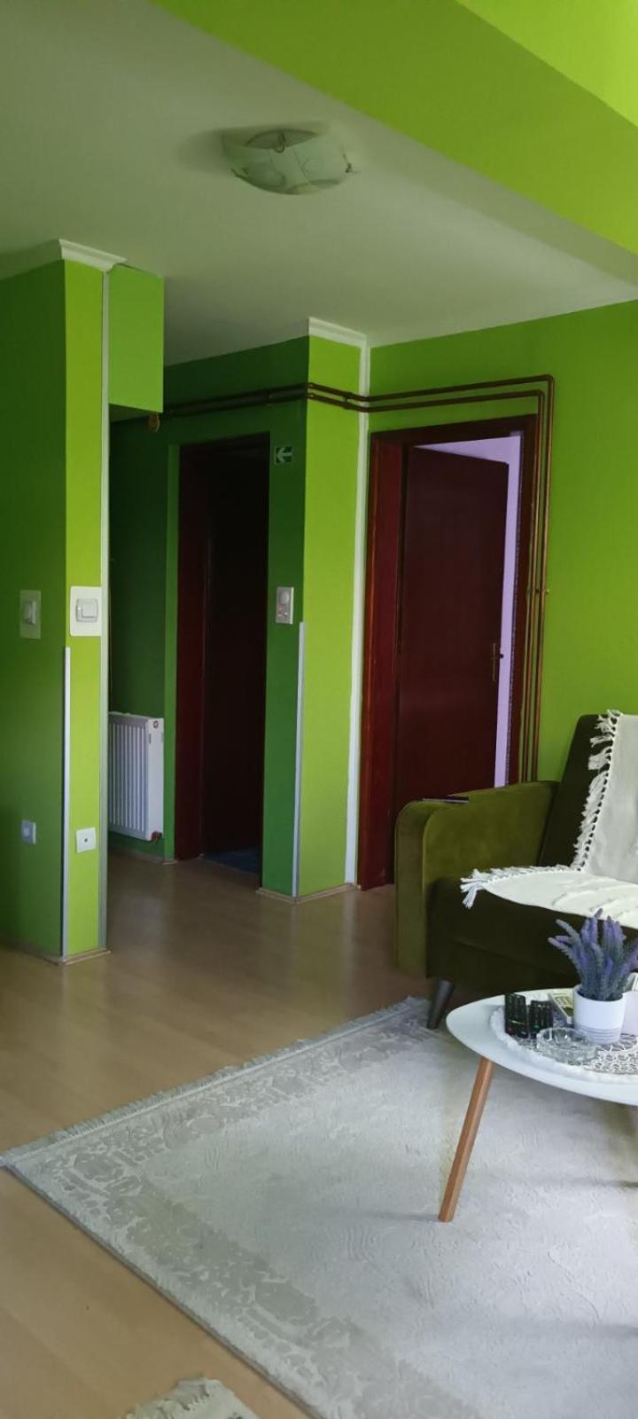 Apartman Gaga Apartment Pirot Exterior photo